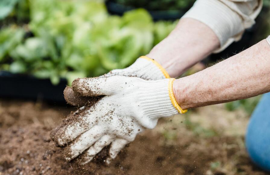 Gartenhandschuhe über Beet mit Substrat